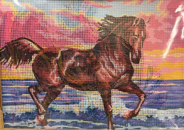 kit petit point 6031