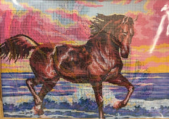 kit petit point 6031