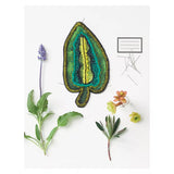 Broderie botanique textile - Isabelle Riener