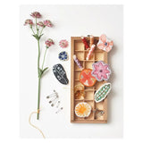 Broderie botanique textile - Isabelle Riener