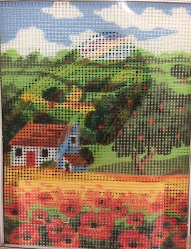 kit petit point 3147