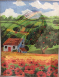 kit petit point 3147