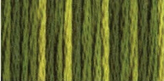 DMC - color variation 4066