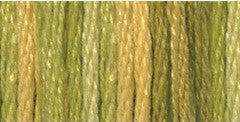 DMC - color variation 4070