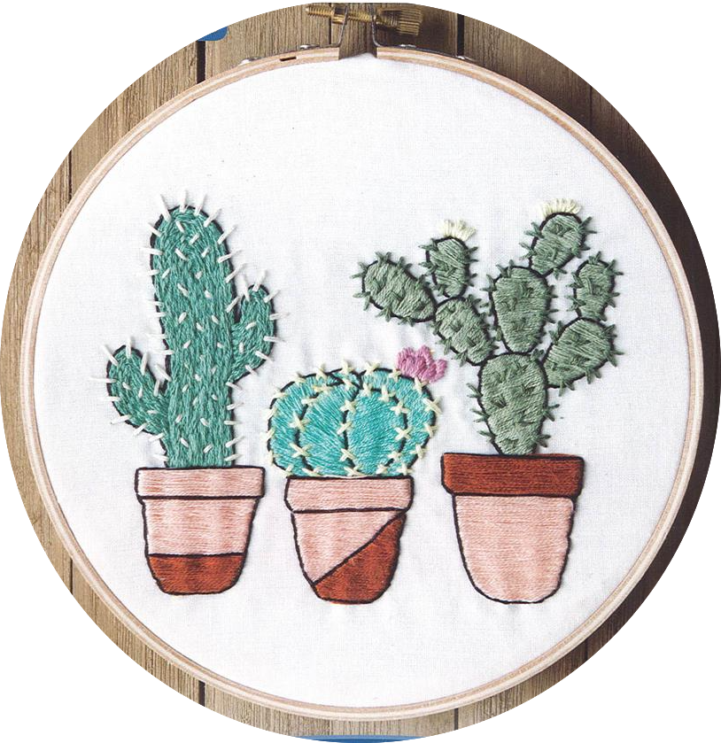Kit broderie traditionnelle - cactus garden