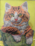 Kit petit point 3272K