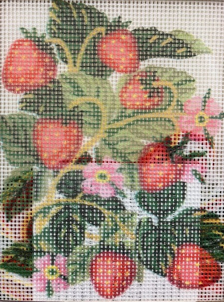 kit petit point 3161K