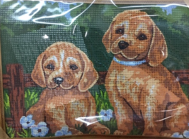 kit petit point 6223