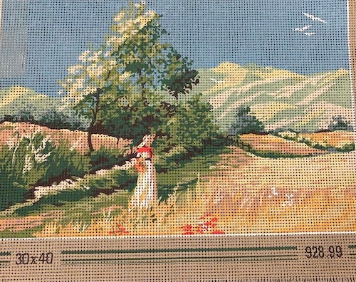 Toile imprimée pour petit point - 928.99 (SEG de Paris)