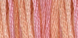 DMC - color variation 4110