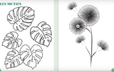 Mes jolies plantes à broder - coffret