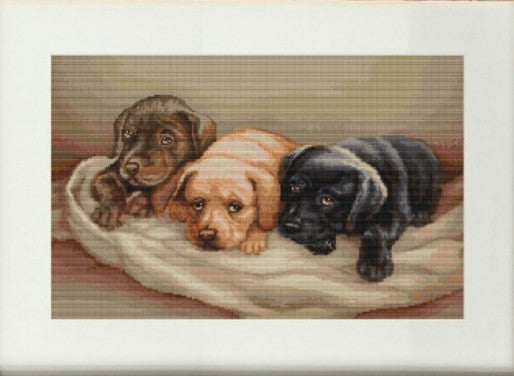 Kit gobelin - trois chiens