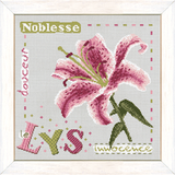 Lilipoints - J005