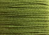 Rainbow gallery - Splendor S847