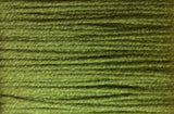 Rainbow gallery - Splendor S848