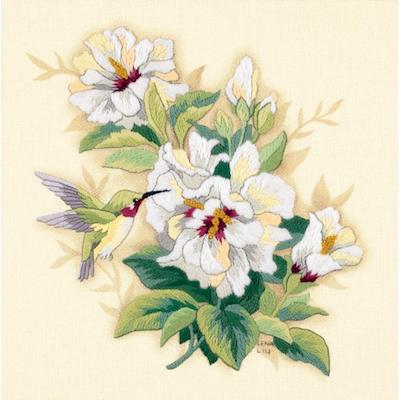 Fleurs et joli hibiscus