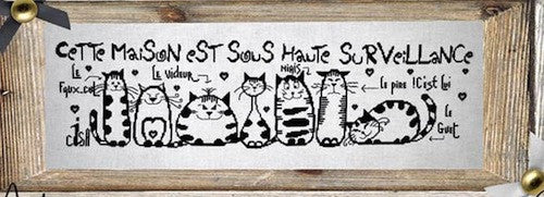 Sous haute surveillance - BDN05