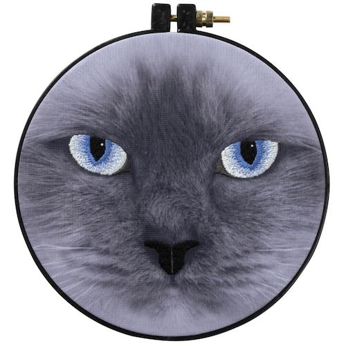 Kit broderie traditionnelle - cat eyes