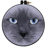 Kit broderie traditionnelle - cat eyes